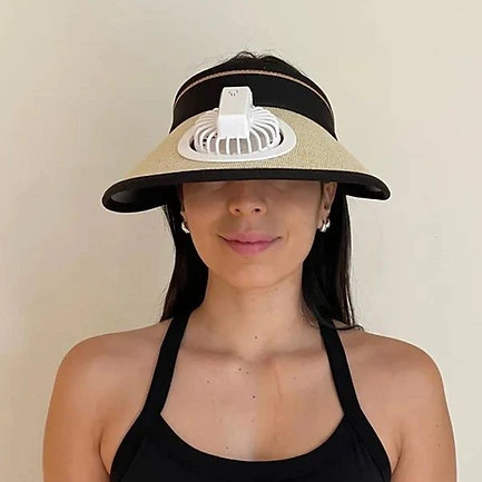 Fan Visor